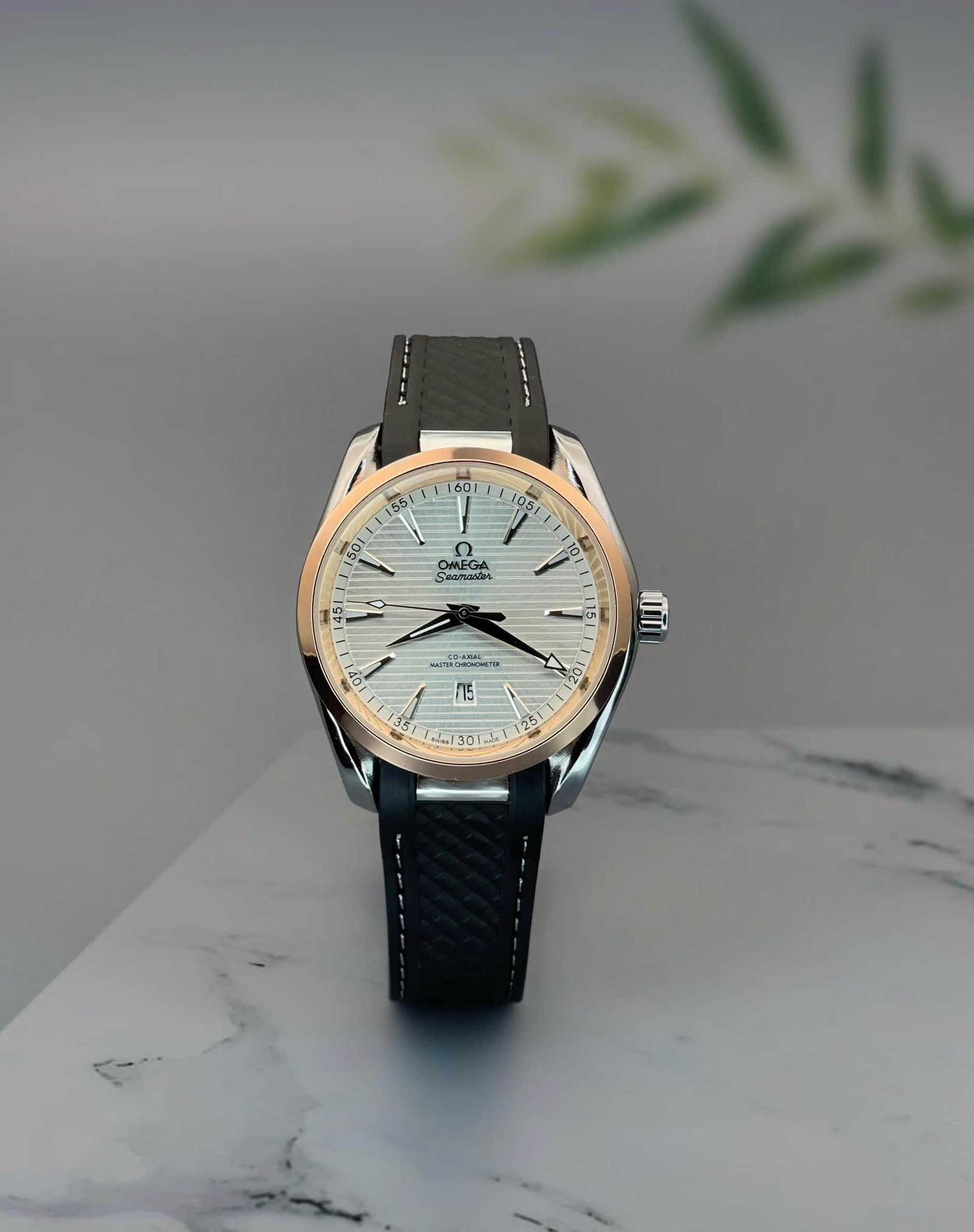 Omega Aqua Terra White Dial